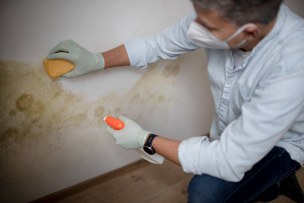 Best Crawl Space Mold Remediation in Oakdale, CA